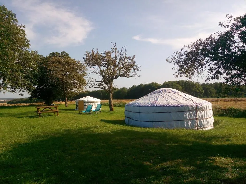 2 Yourtes au naturel, Druyes-les-Belles-Fontaines : image 5