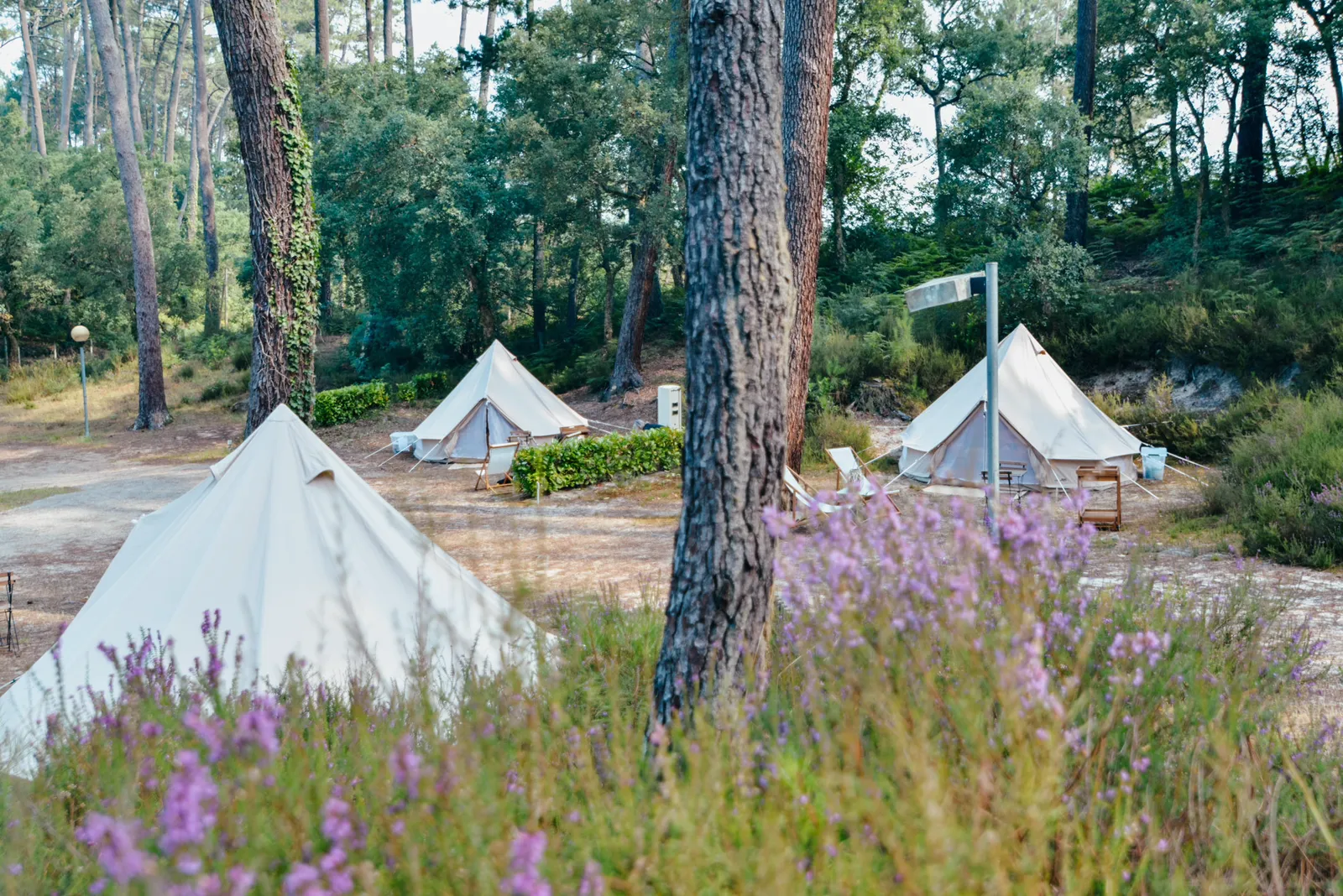 Cocooning Tipi Seignosse, Seignosse : image 5
