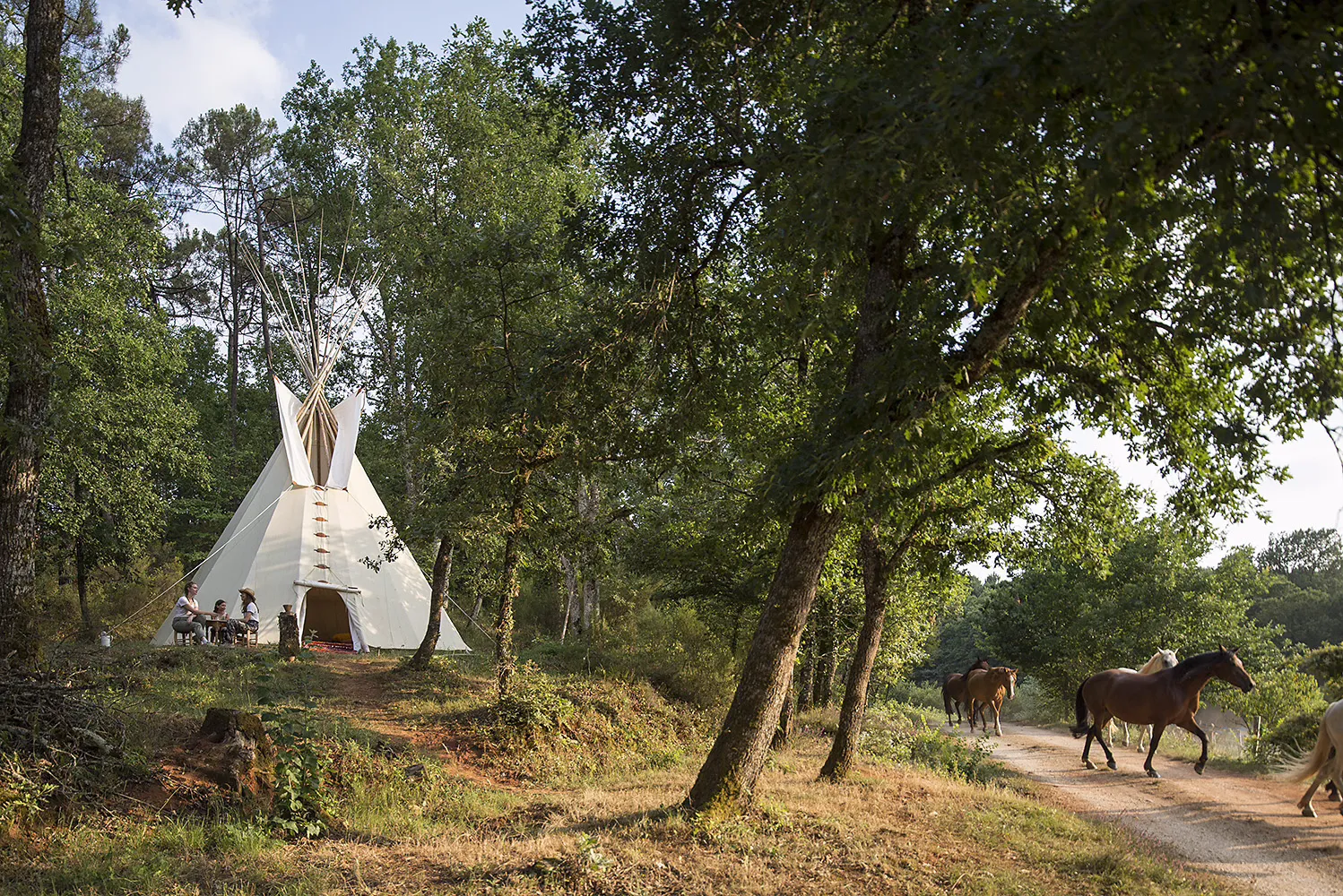 Ferme équestre la Fontaine (tipi), Montcléra