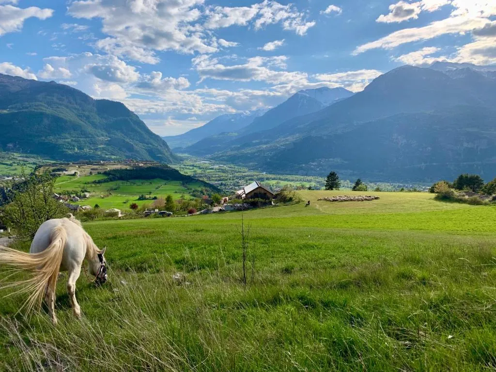 Grande yourte des Alpes, Eygliers : image 5