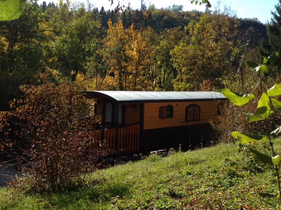 Jurassic Farm, Moirans-en-Montagne : image 3