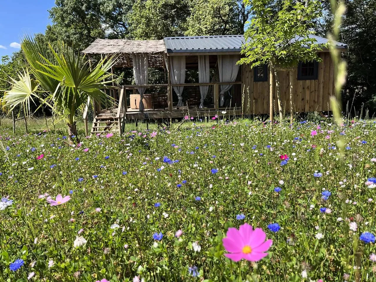Kota Familial de La Buissonnière Lodges, Chisseaux : image 5