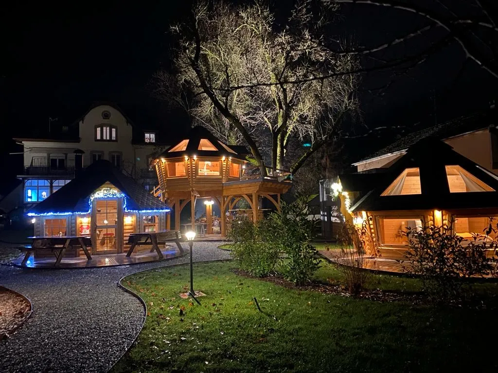Kota Frêne des Hêtres Pourpres (kota), Bitschwiller-lès-Thann