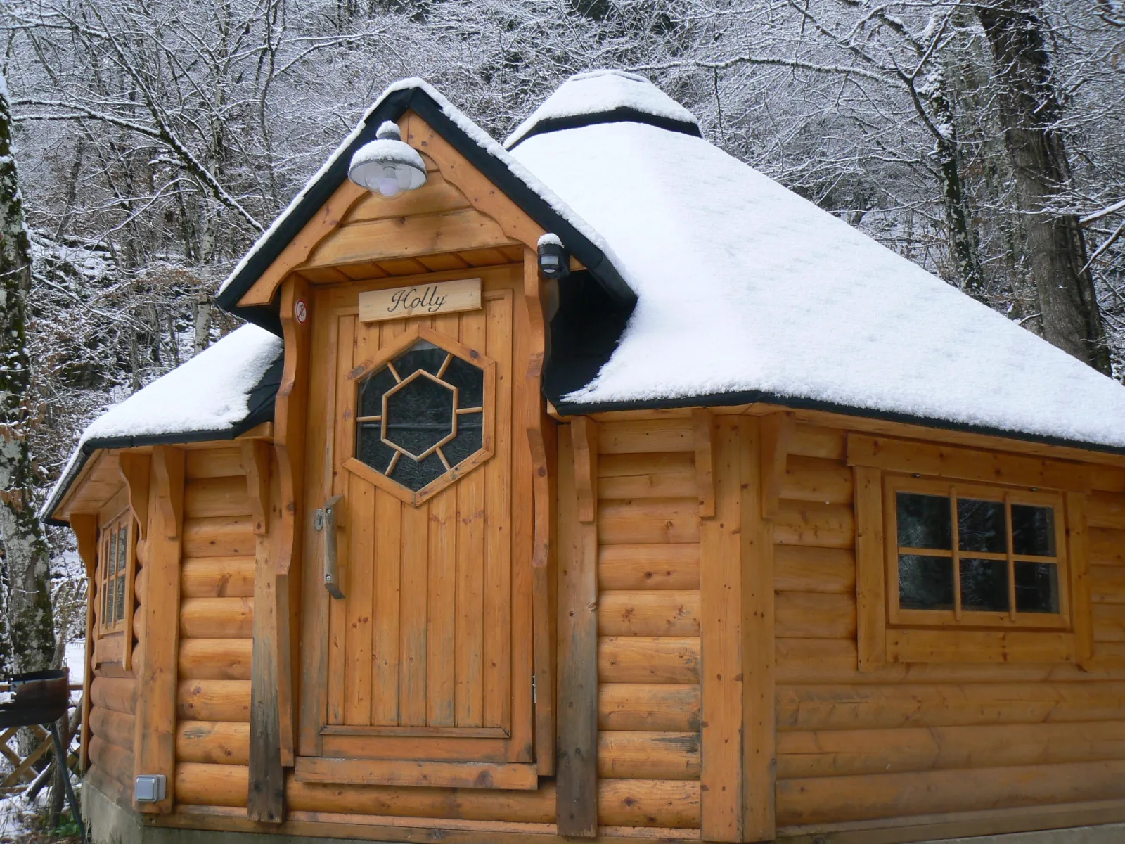 Kota Holly de NatureZenKota (kota), Metzeral