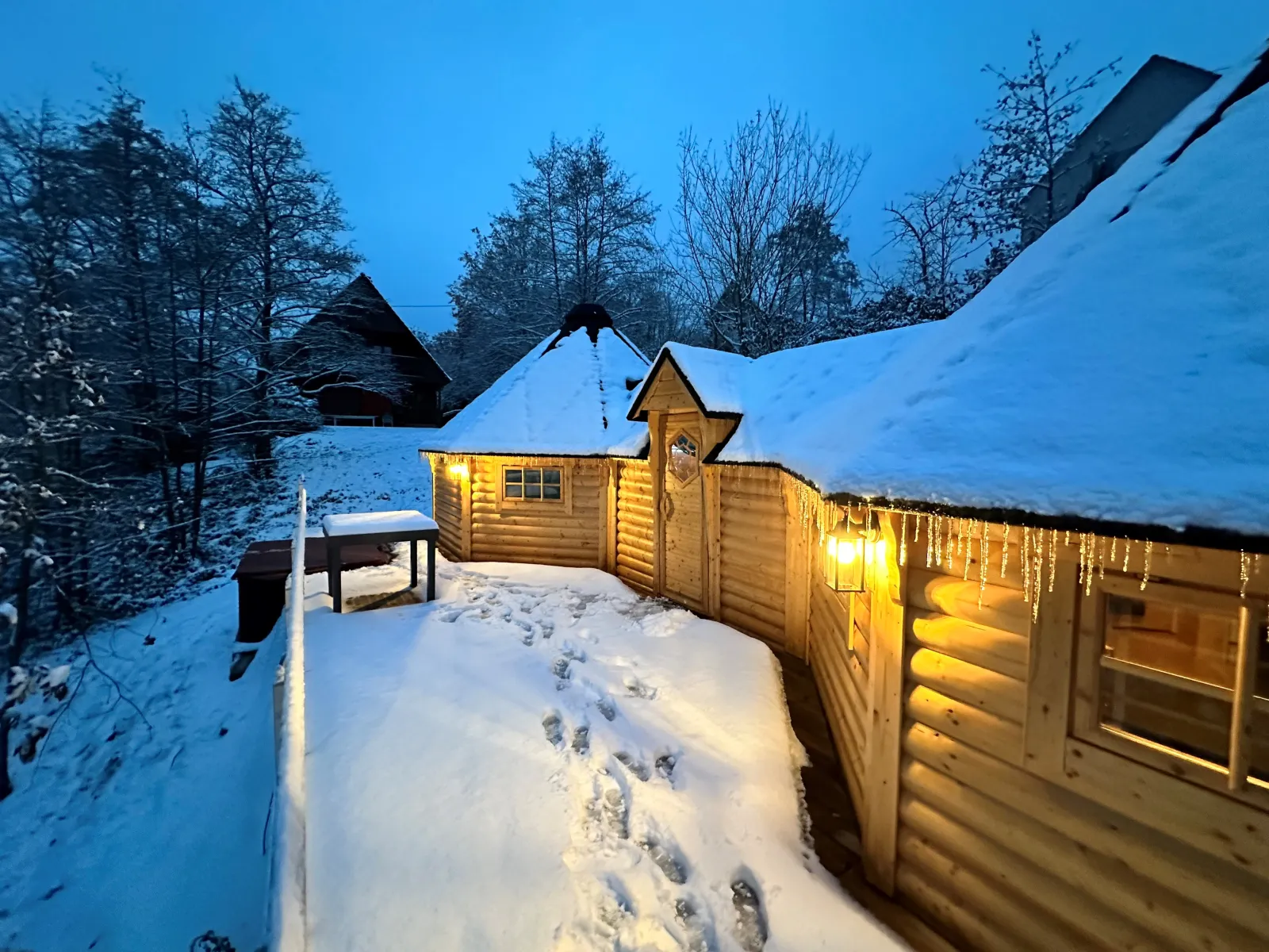 Kota Sous-bois (kota), Mollkirch