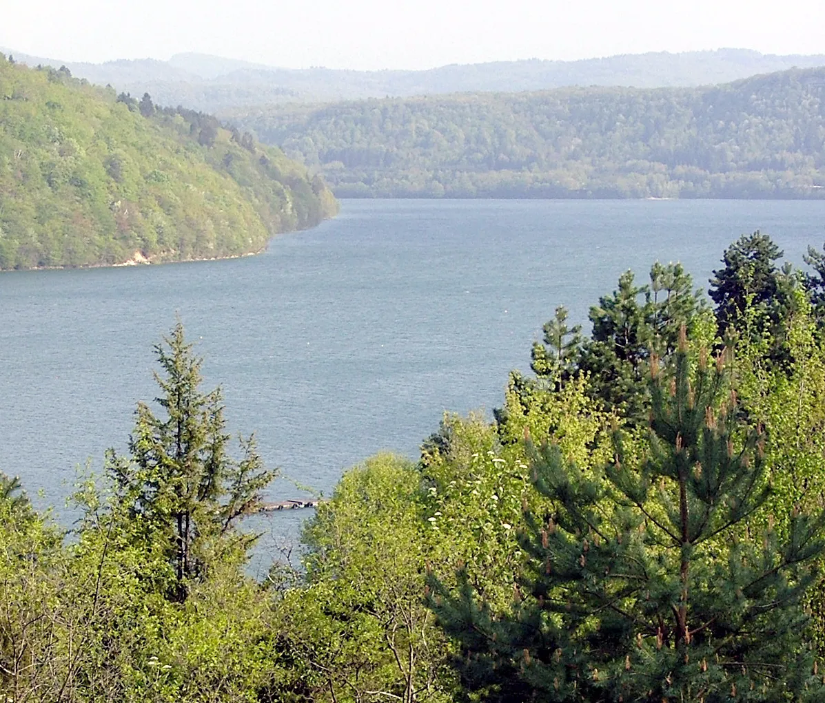 La yourte des paons (yourte contemporaine), Valzin en Petite Montagne