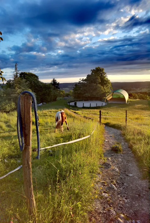 La yourte des paons, Valzin en Petite Montagne : image 5