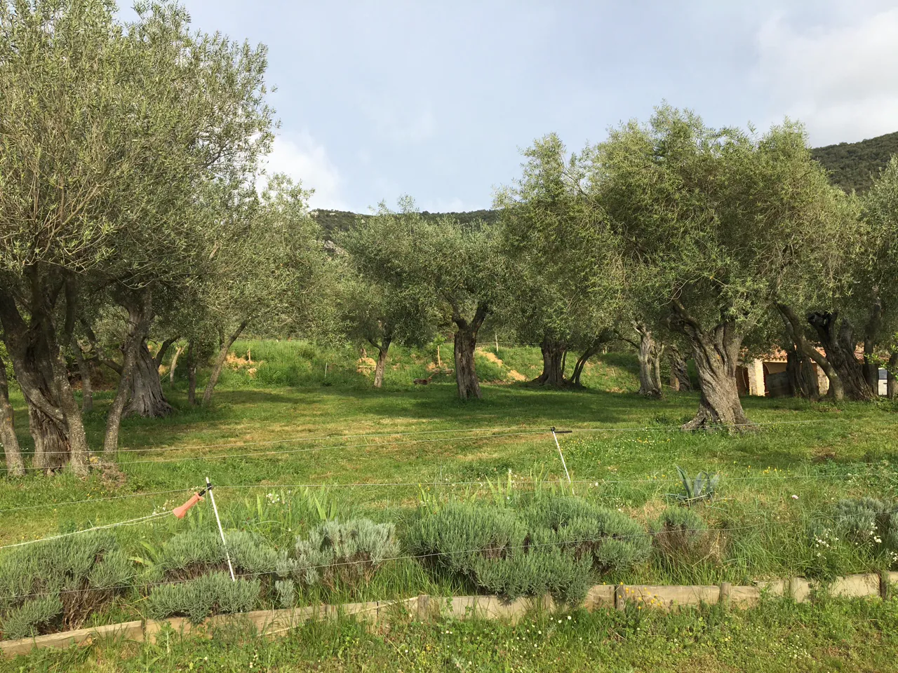 Le Camping de Cucugnan, Cucugnan : image 5