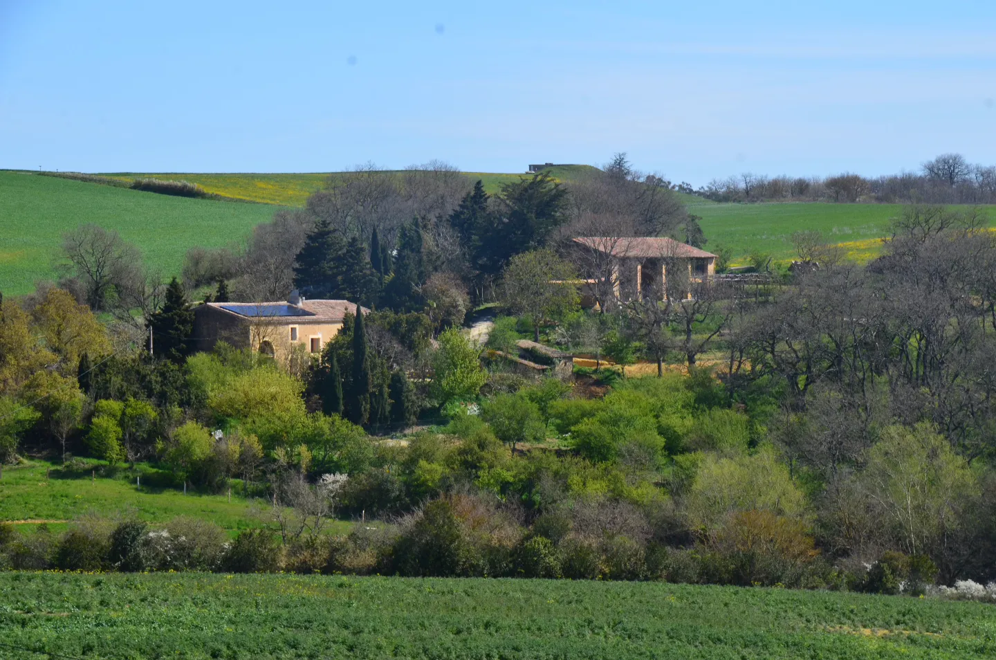 Piboulette Accueil Paysan (yourte contemporaine), Payra-sur-l'Hers