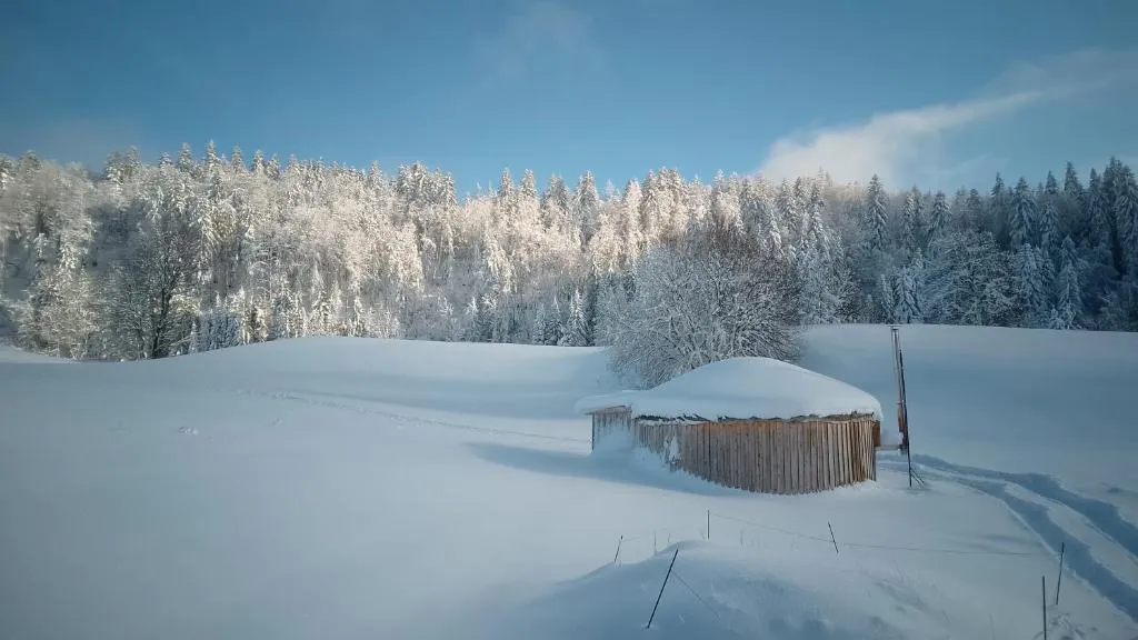 Séjours nature en yourte (yourte contemporaine), La Pesse