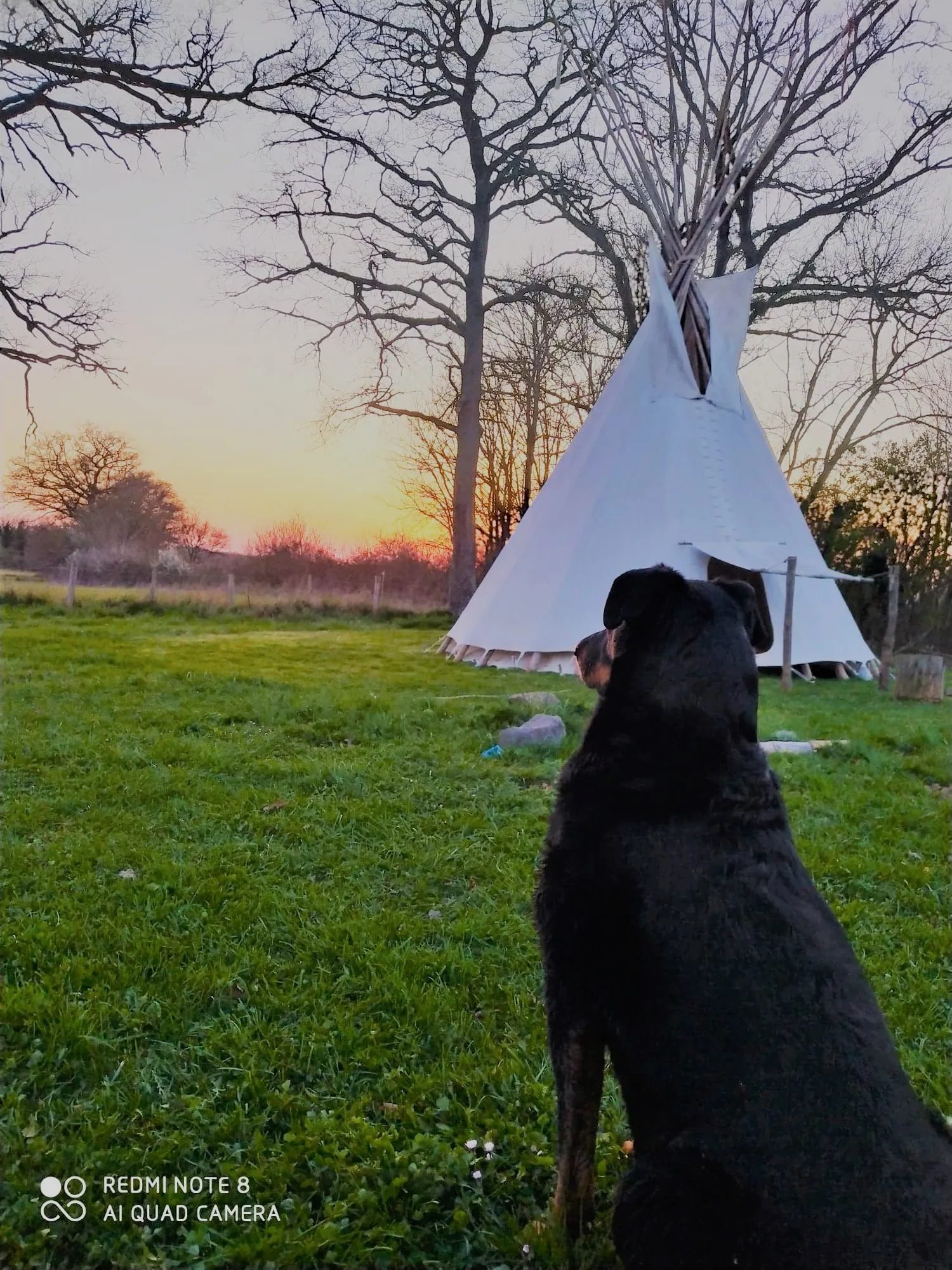 Tipi Cheyenne du Clos de l'Isop, Saint-Martial-sur-Isop : image 4