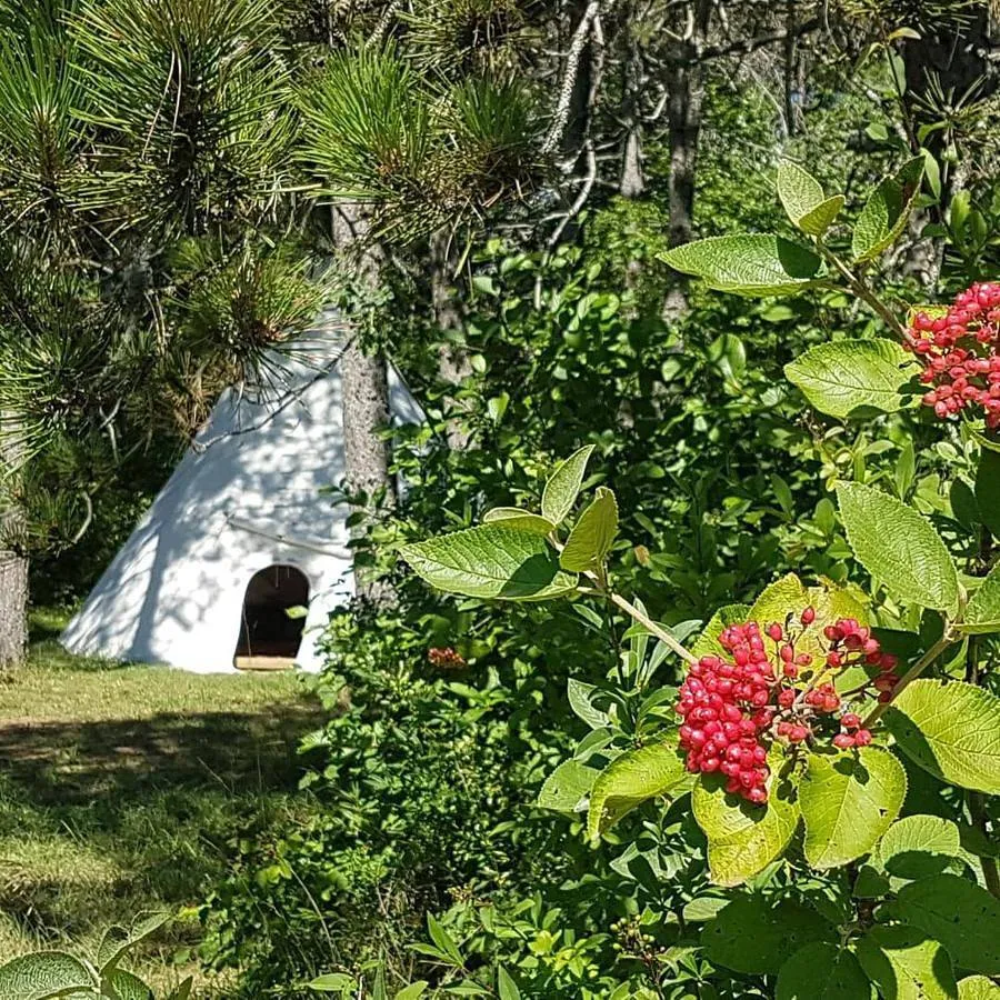 Tipi de Détain-et-Bruant (tipi), Détain-et-Bruant