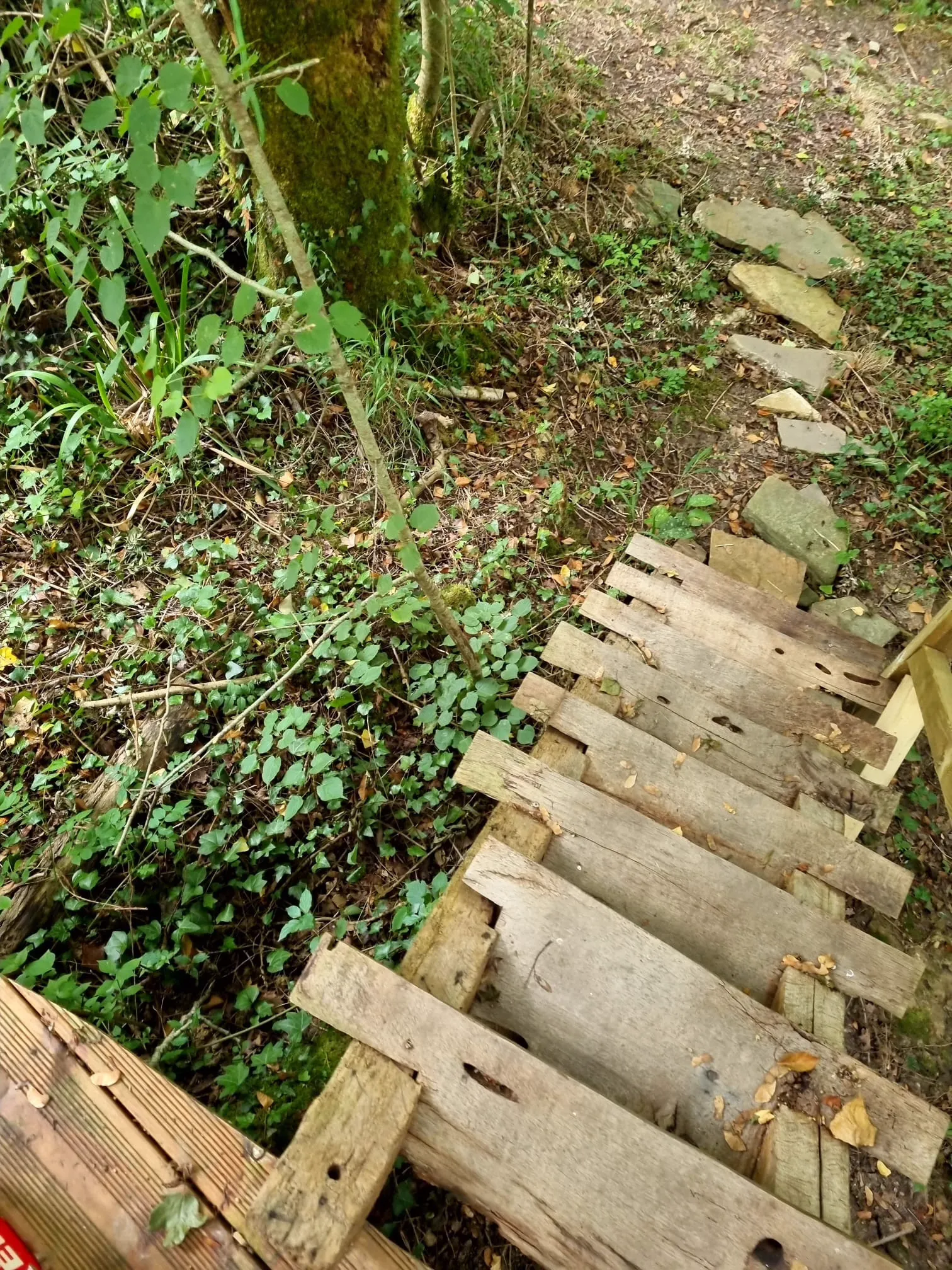 Tipi du gave, Montfort : image 3