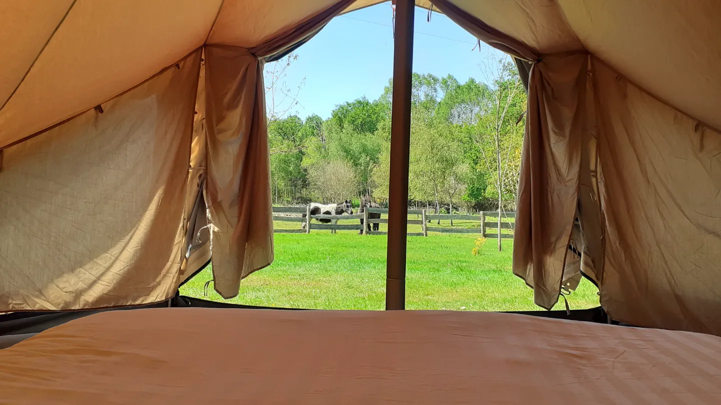 Le Tipi du Jardin du Papillon, Parigné-l'Évêque : image 2