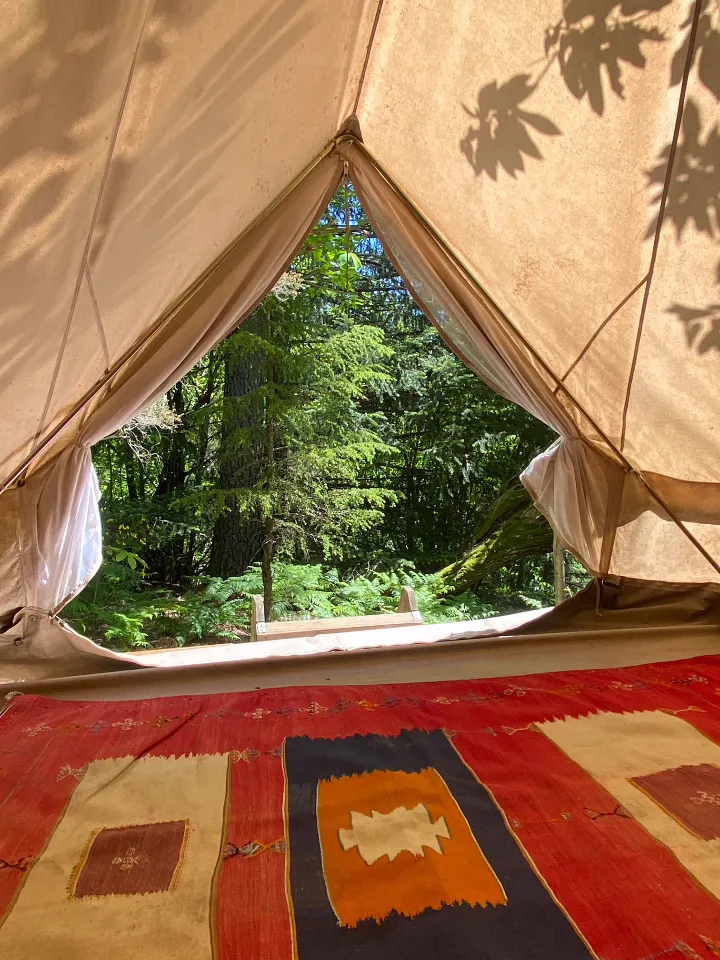 Tipi en forêt de châtaigniers, Dompnac : image 2