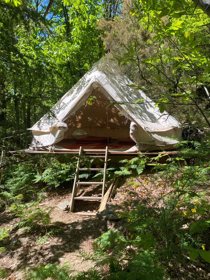 Tipi en forêt de châtaigniers, Dompnac : image 3