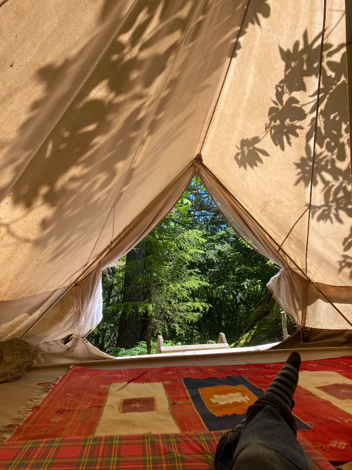 Tipi en forêt de châtaigniers, Dompnac : image 4