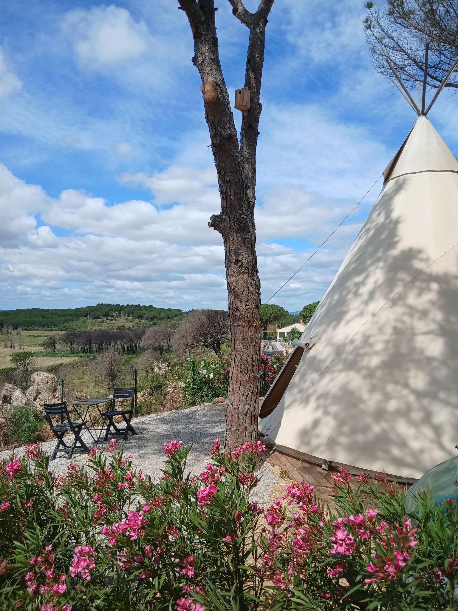 Tipi Indien de Figurotta, Bizanet : image 2
