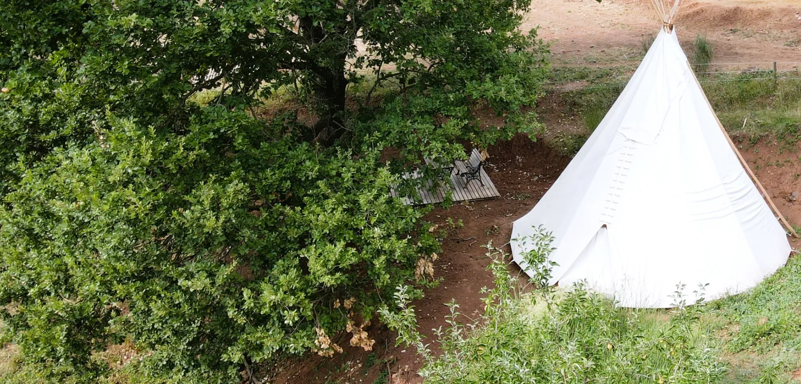 Tipi Jerolamo sous le chêne, La Tour-sur-Orb : image 3