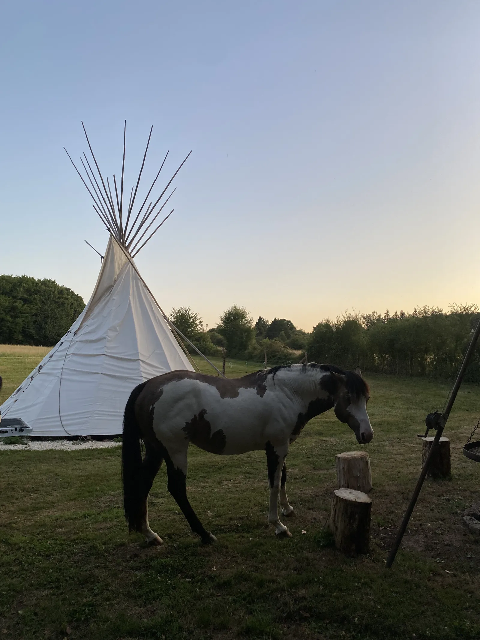 Tipi Lakota (tipi), Bitry