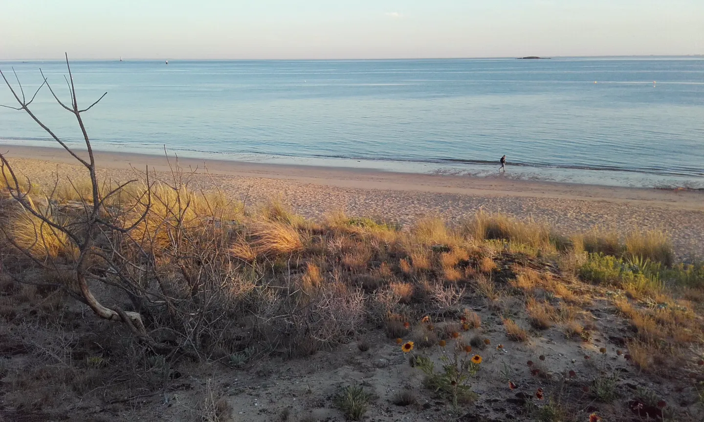Tipi malouin, Pornichet : image 5