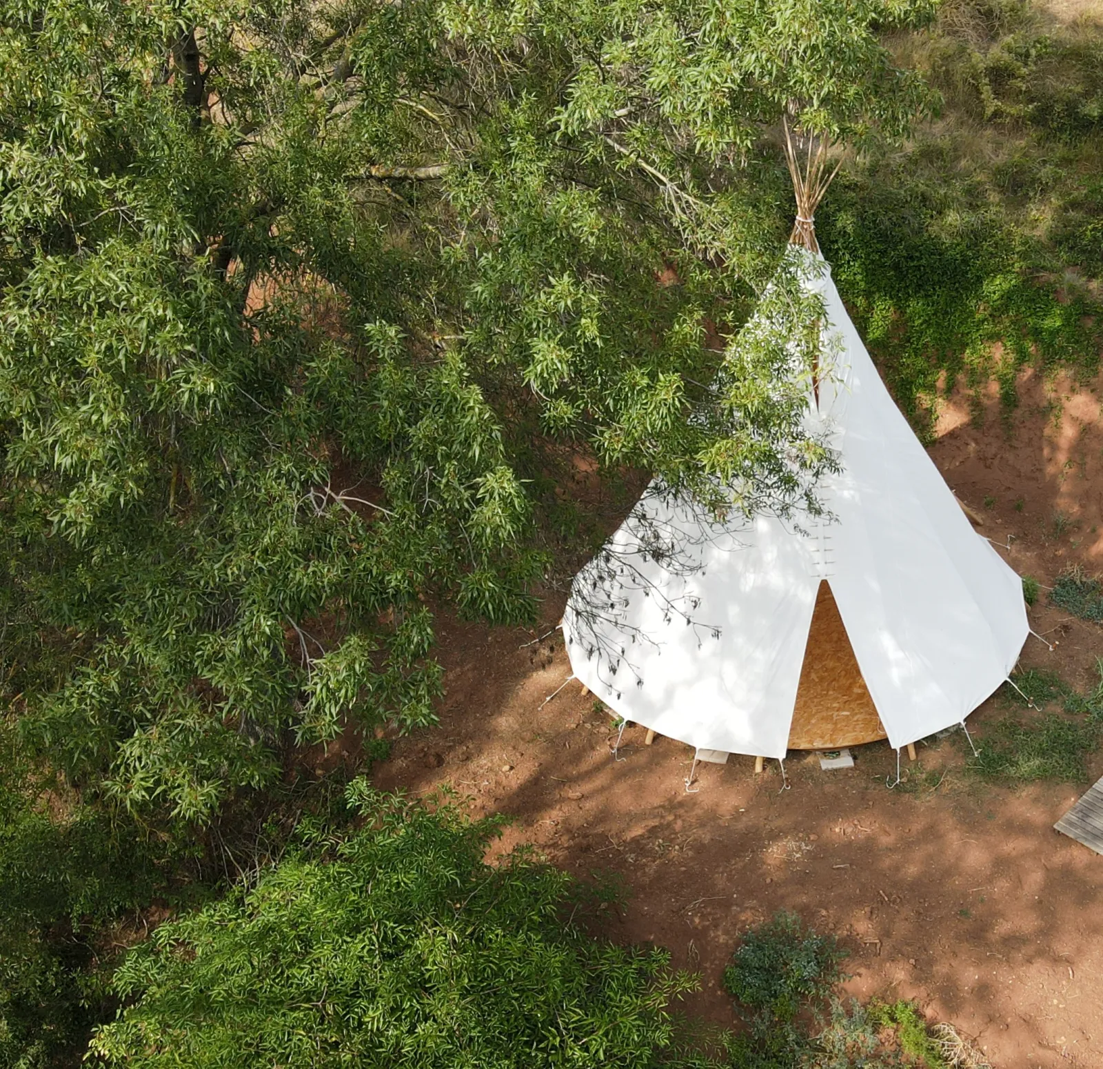 Tipi Paco près du ruisseau, La Tour-sur-Orb : image 2