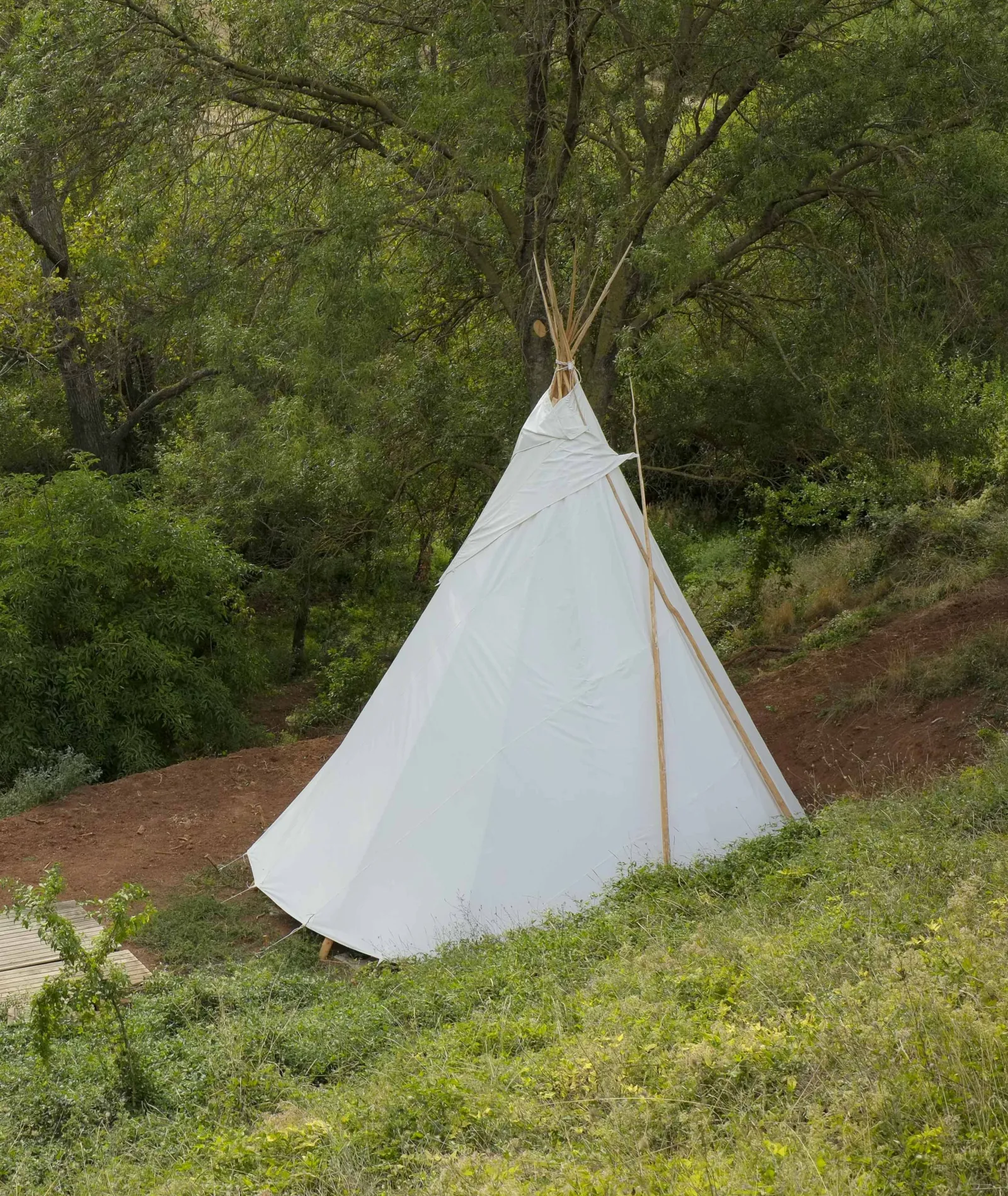 Tipi Paco près du ruisseau, La Tour-sur-Orb : image 5