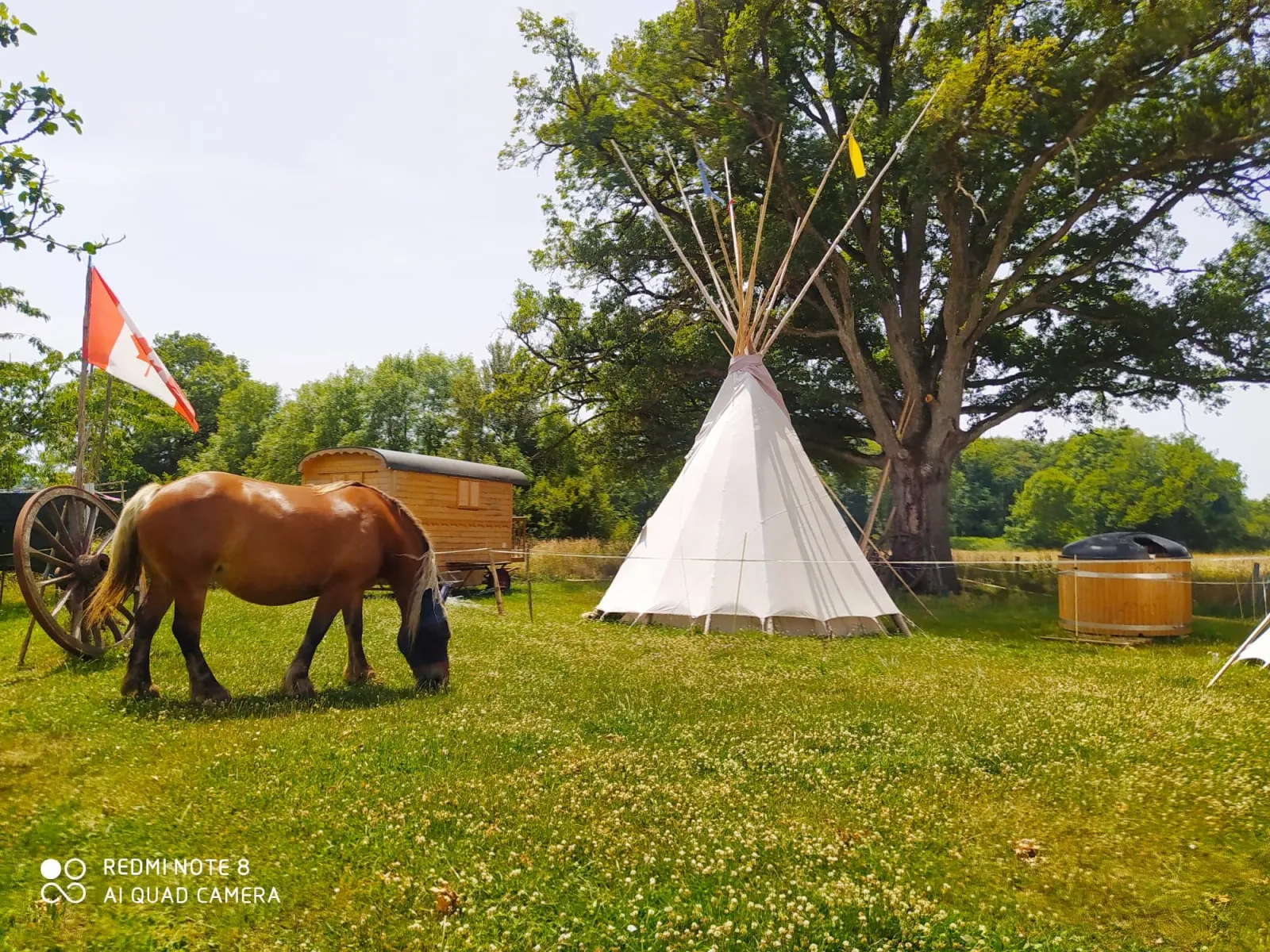 Tipi Sioux Cochise du Clos de l'Isop, Saint-Martial-sur-Isop : image 2