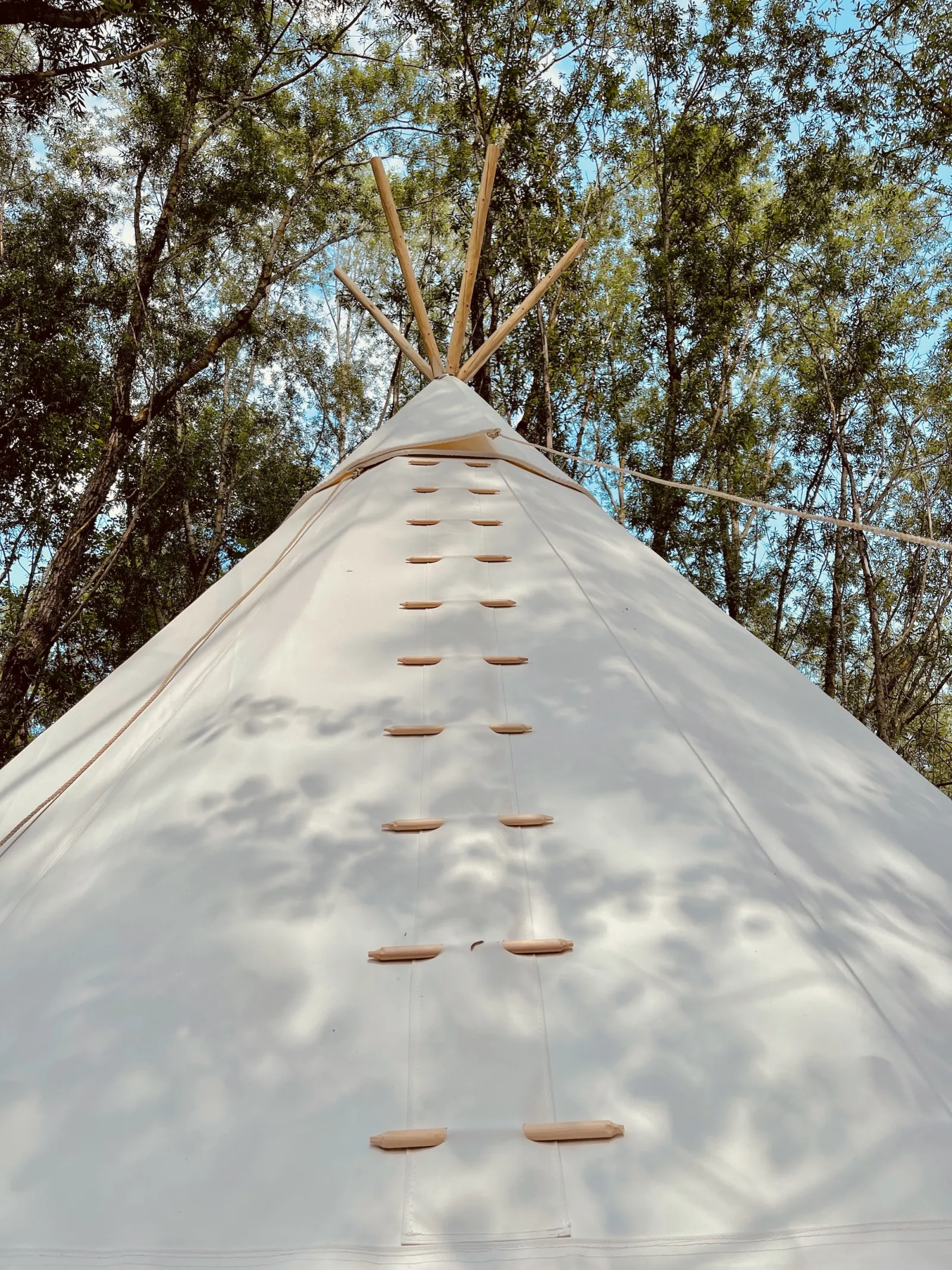 Tipi Söra, Viévy : image 4
