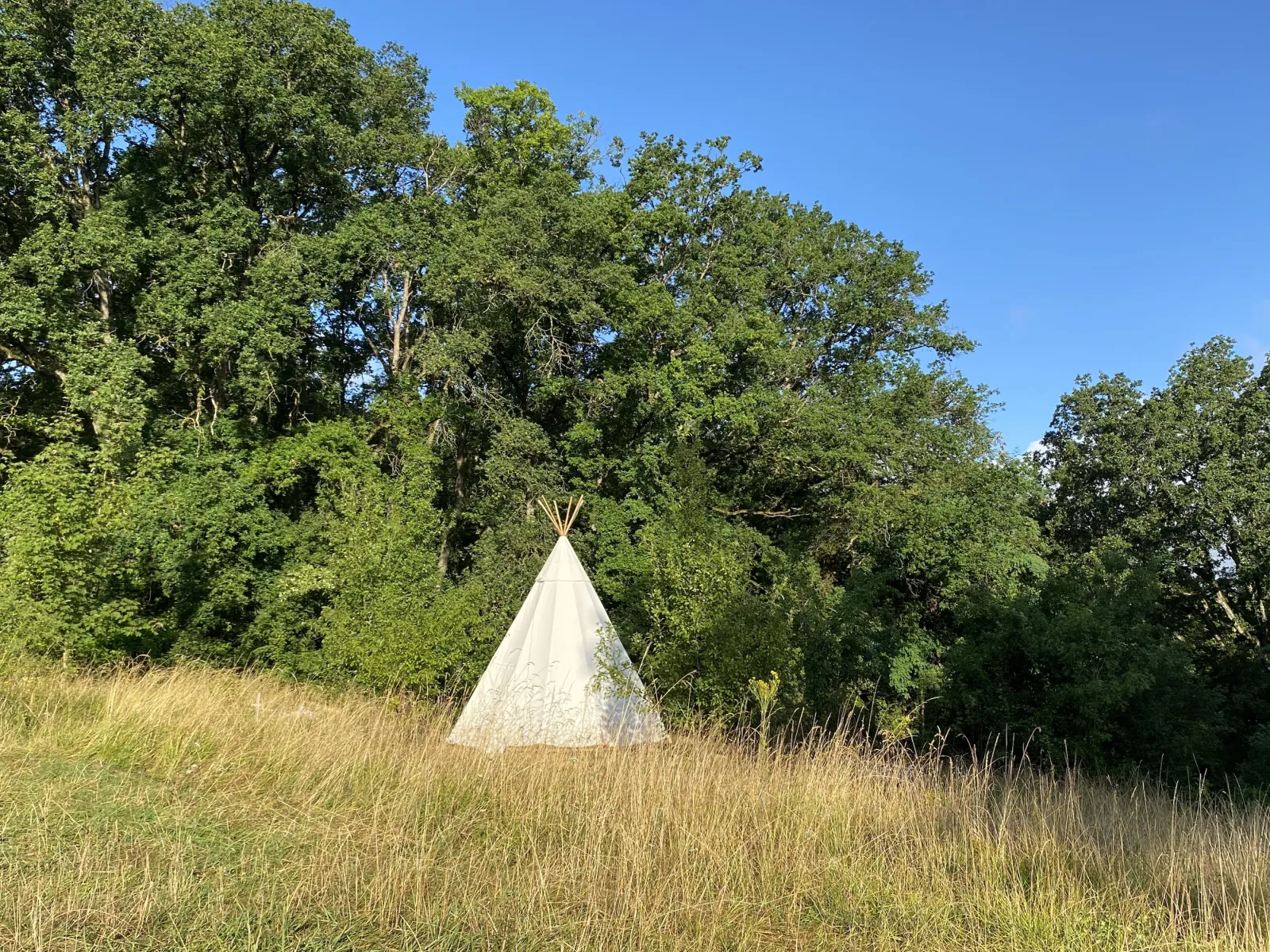 Le Tipidylle de la Rochardière, Savonnières : image 2