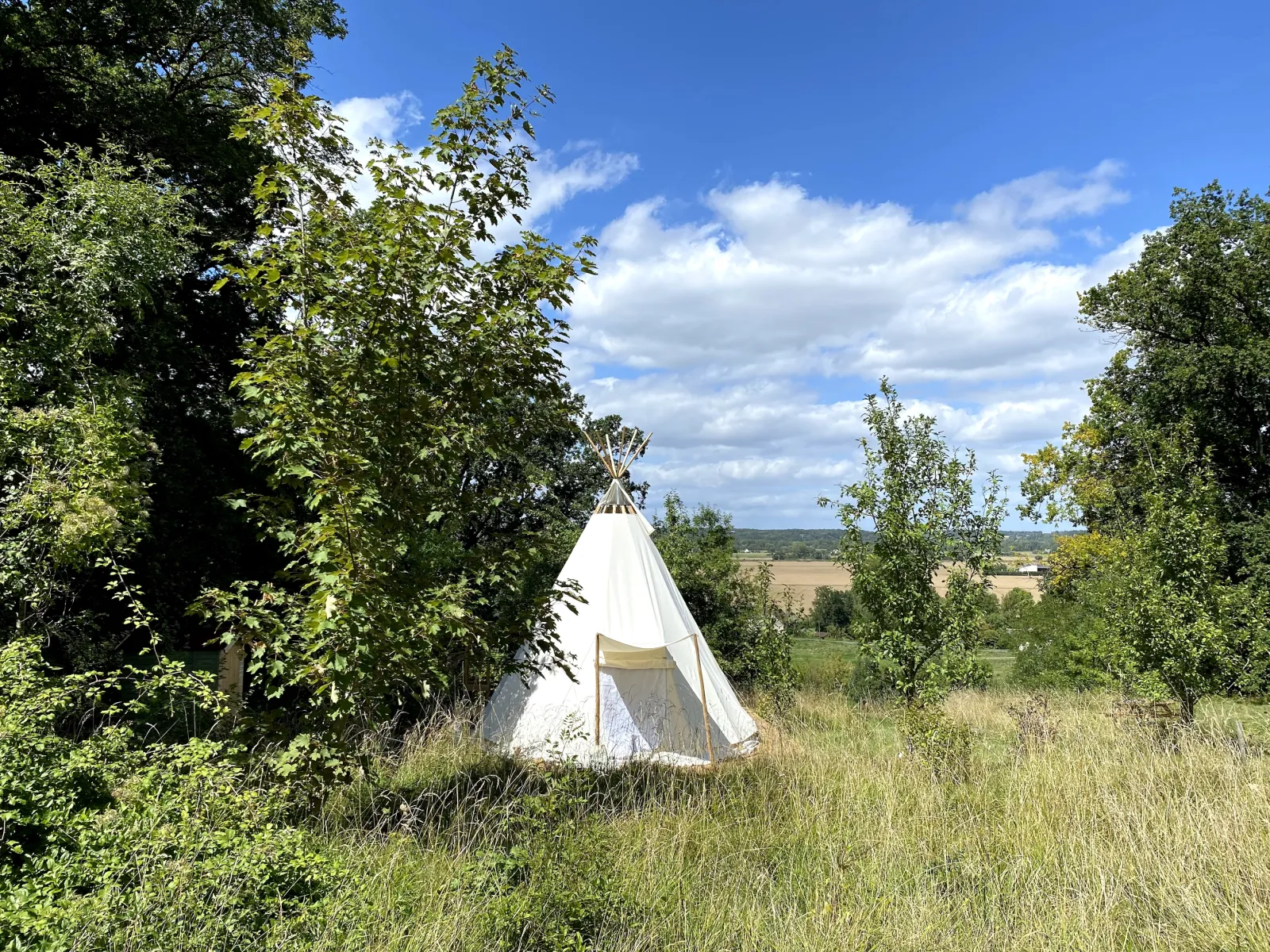 Le Tipidylle de la Rochardière, Savonnières : image 5