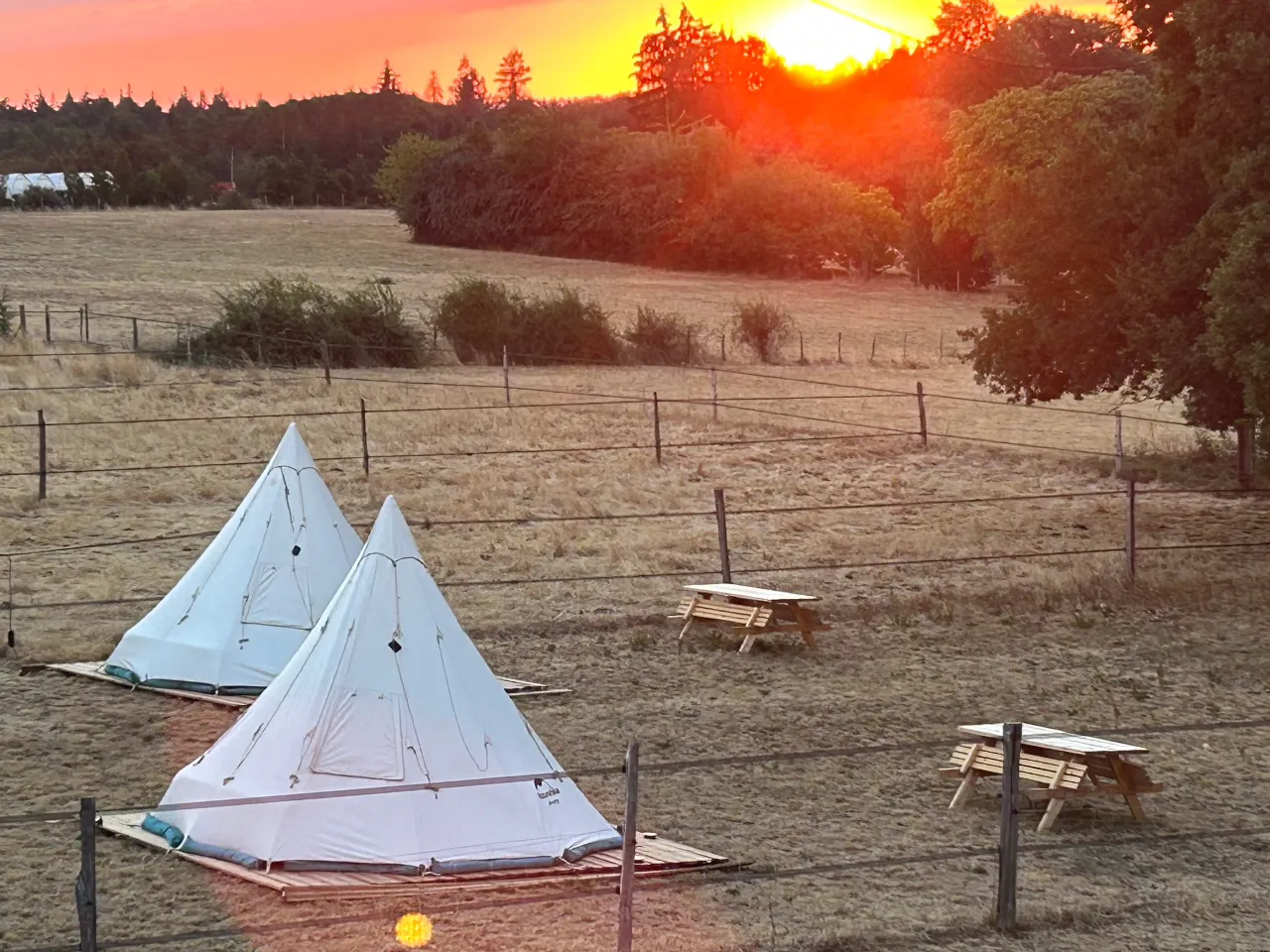 Tipis à la ferme de Pearl, Juillac : image 4