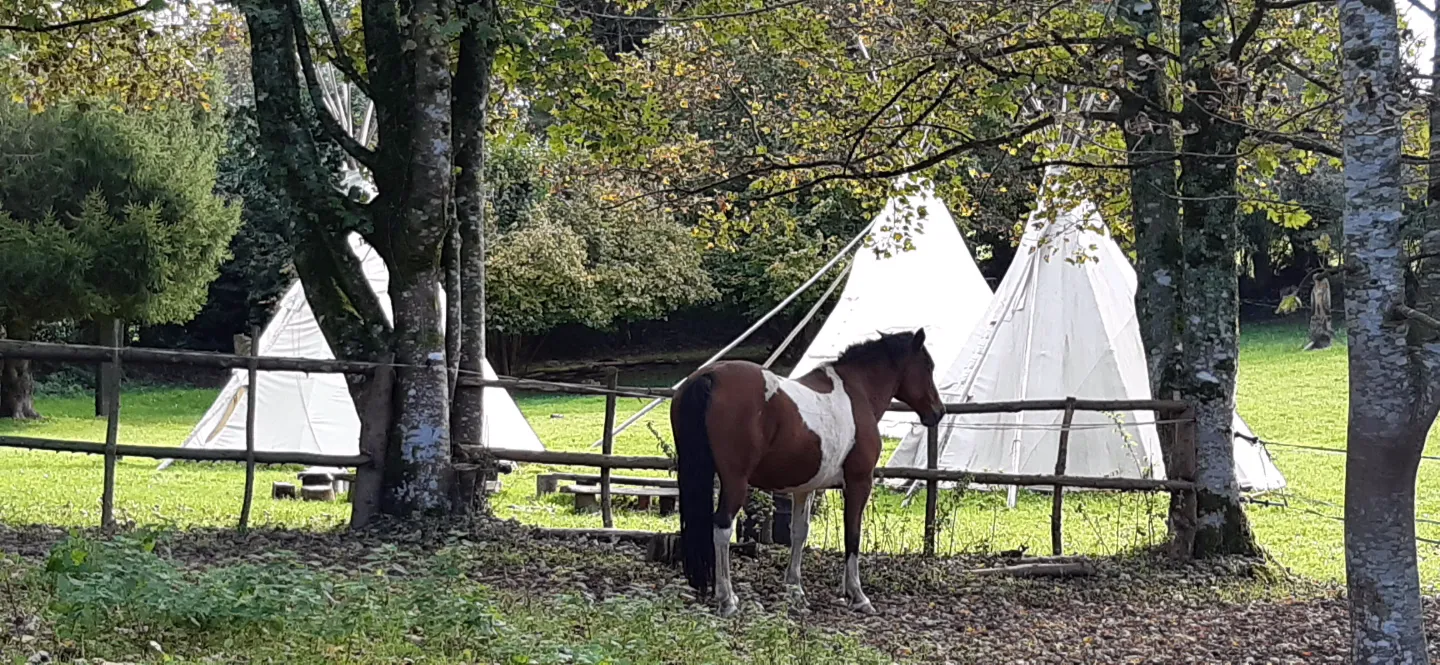 Les tipis d'Armoricamp, Scaër : image 5