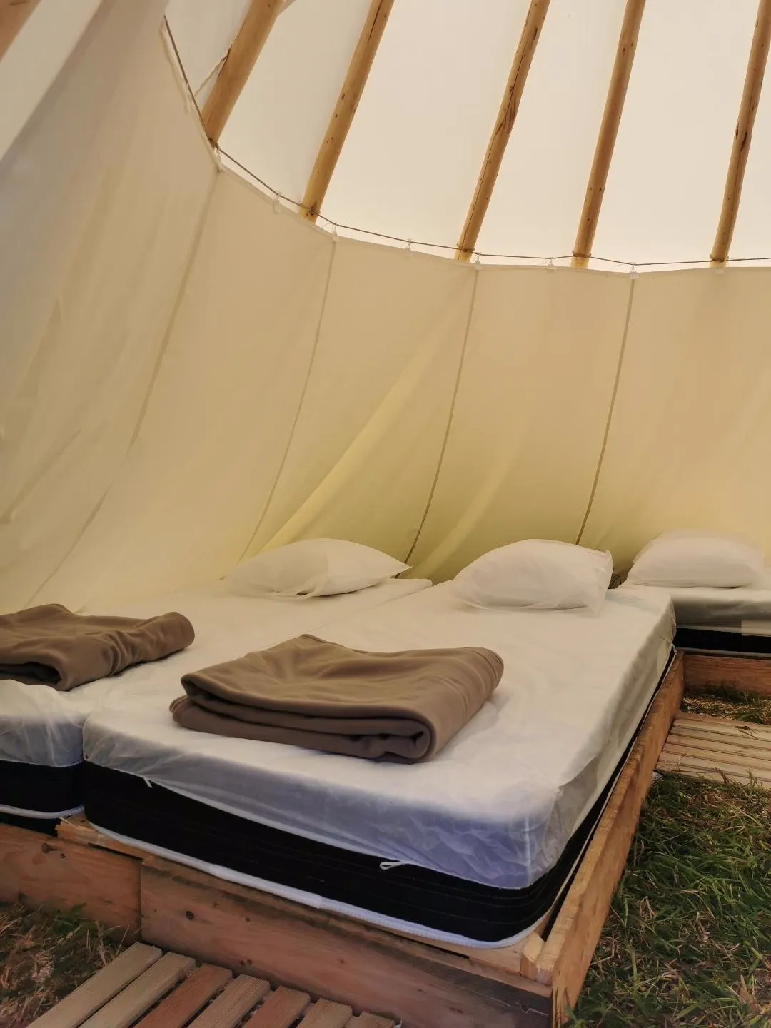 Tipis Mohair de l'Erdre, Casson : image 2