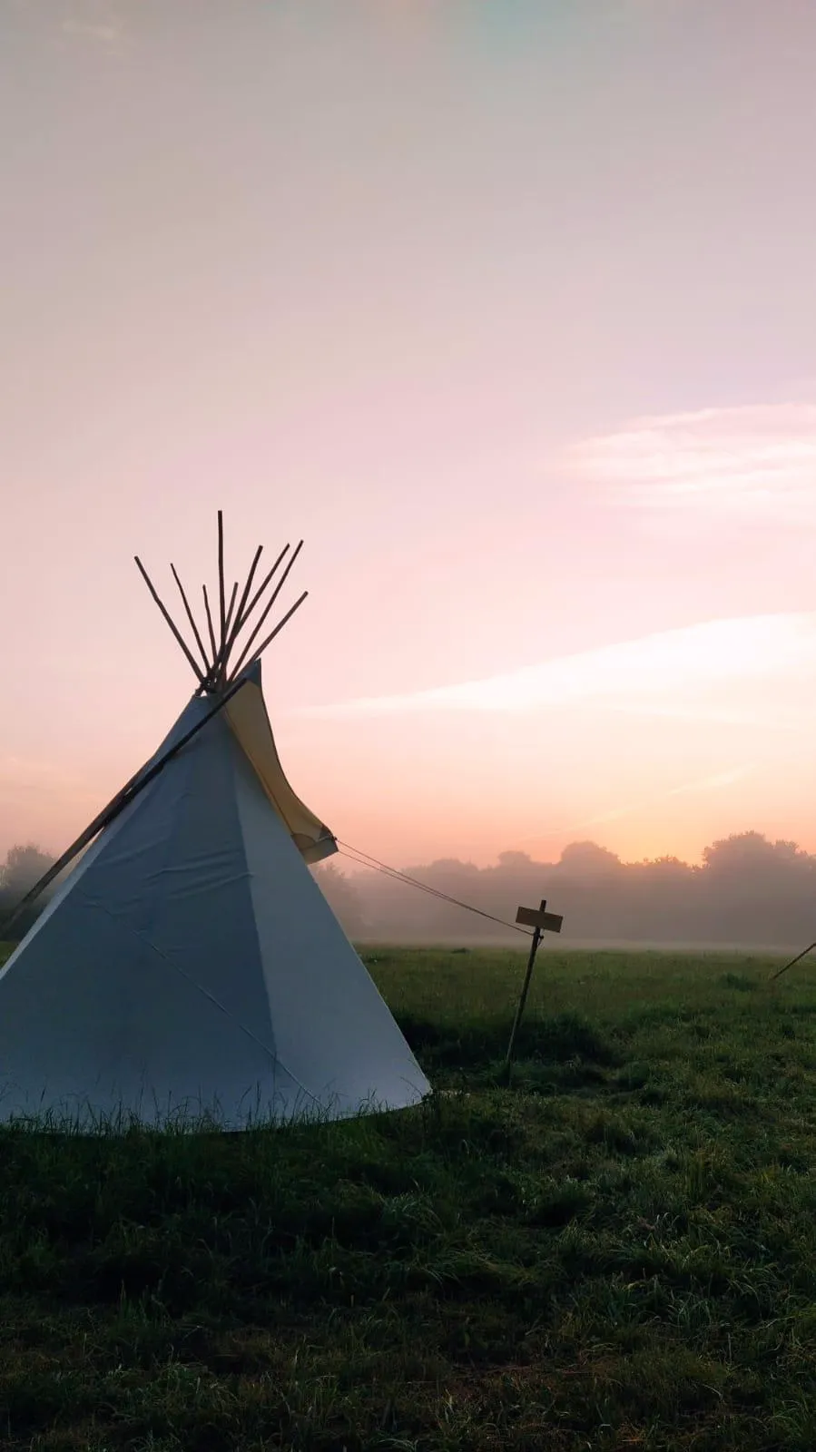 Tipis Mohair de l'Erdre, Casson : image 5