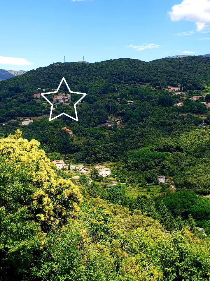 Yourte aux Bambous en Cévennes, Saint-André-de-Majencoules : image 2
