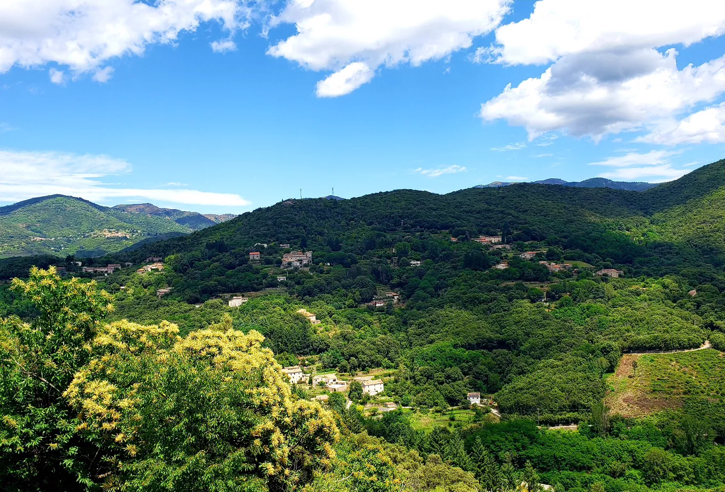Yourte aux Bambous en Cévennes, Saint-André-de-Majencoules : image 4