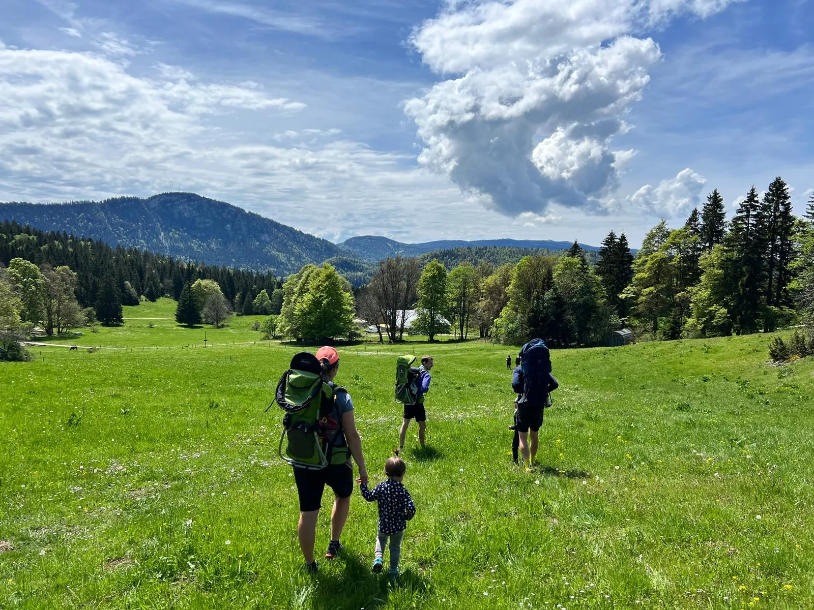 Yourte Bosquet, Rochejean : image 4