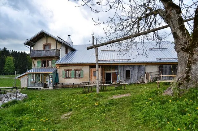 Yourte Bosquet, Rochejean : image 5