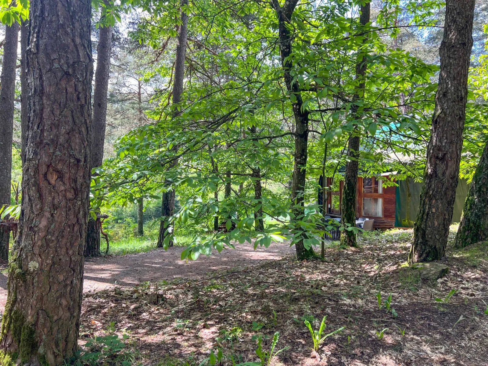 La Yourte Contemporaine, Vitrac : image 4