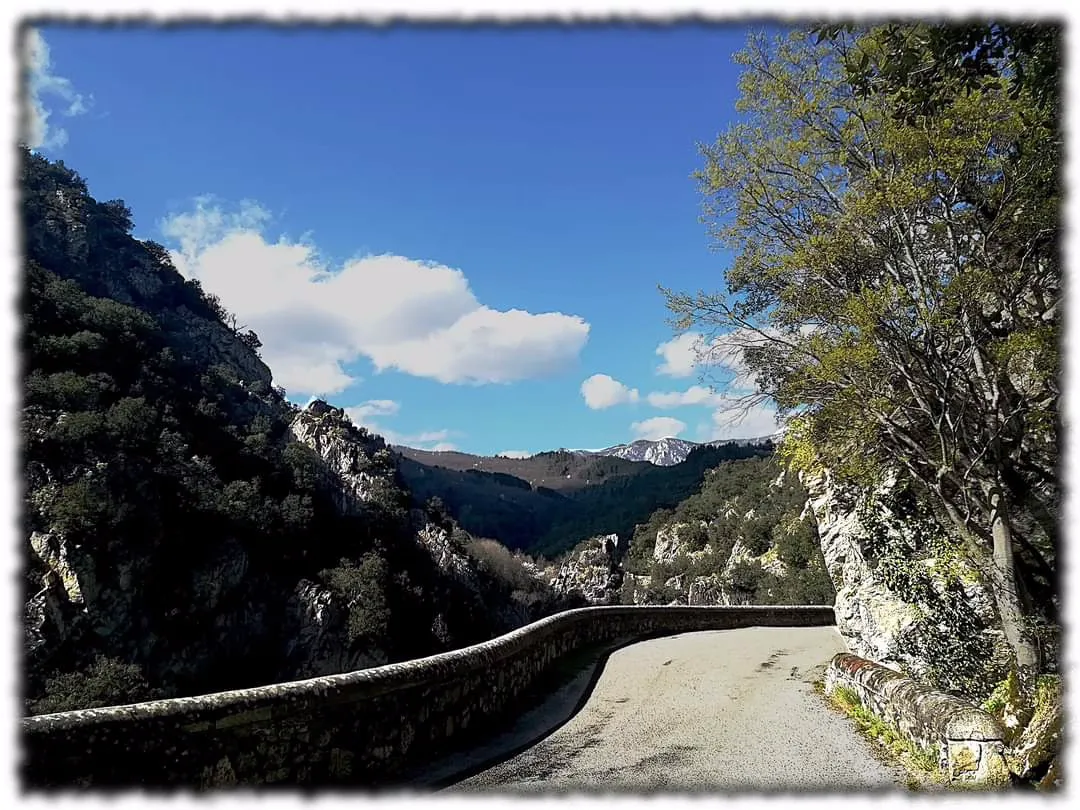 Yourte dans les Cévennes, Rocles : image 5