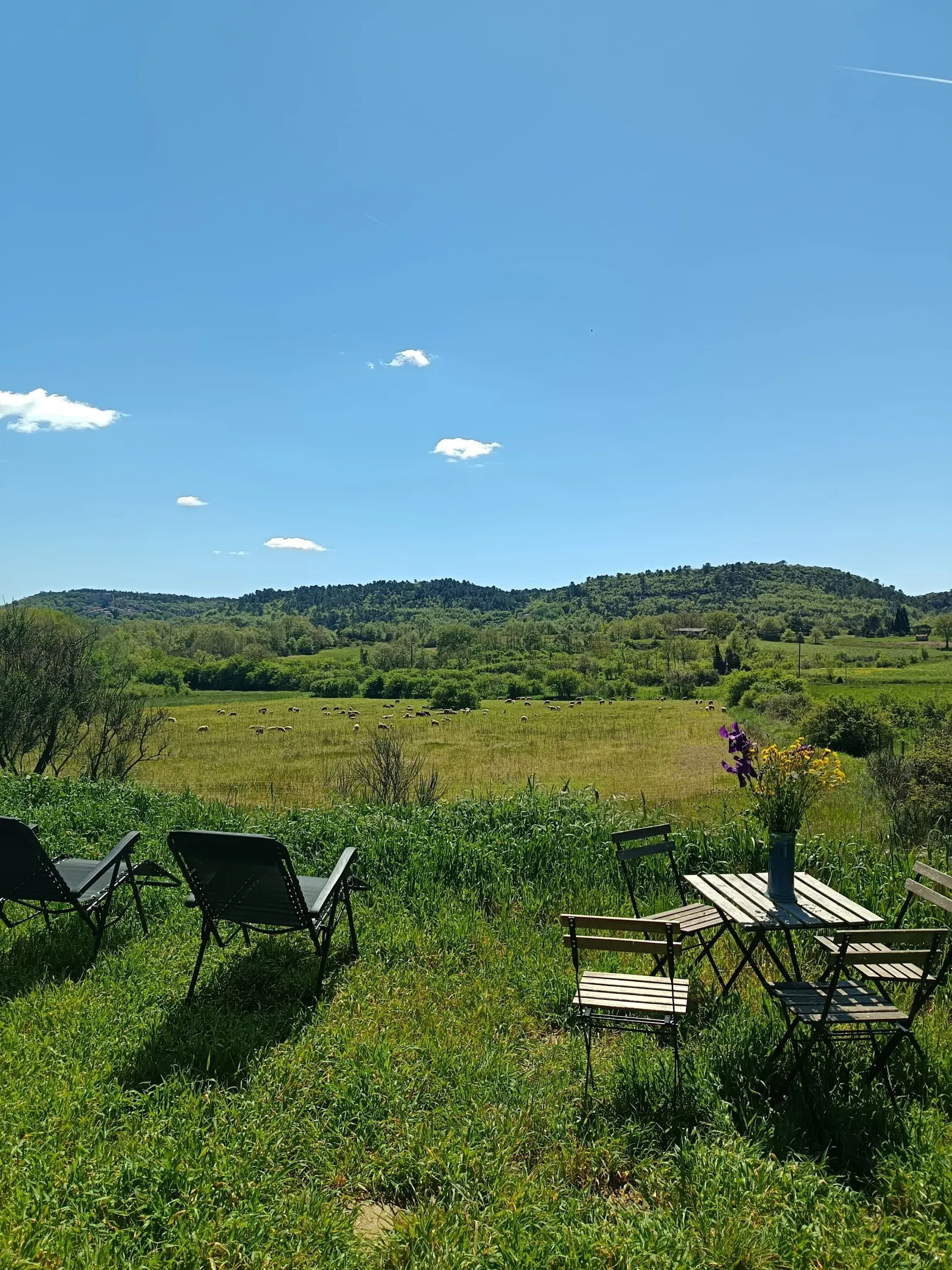 Yourte de la Ferme des Bréguières, Esparron-de-Pallières : image 3