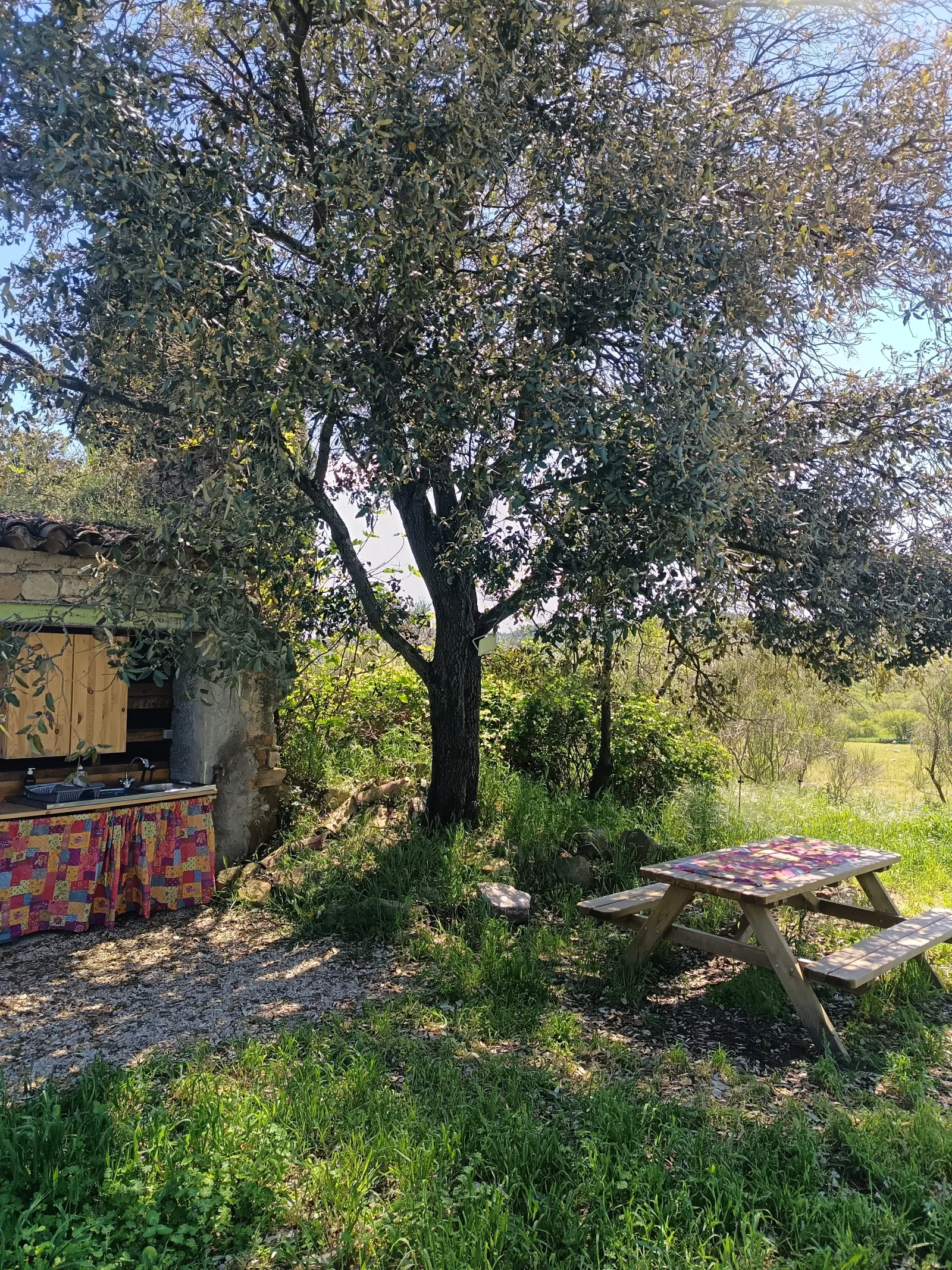 Yourte de la Ferme des Bréguières, Esparron-de-Pallières : image 4