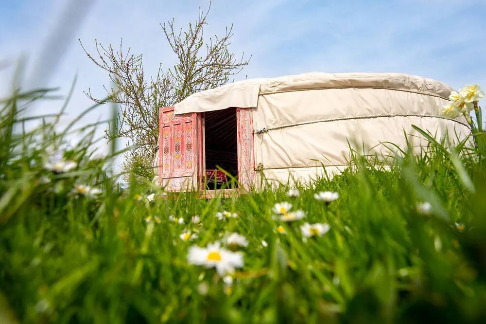 Yourte de la Ferme du Moulin de Bois (yourte traditionnelle), Farbus