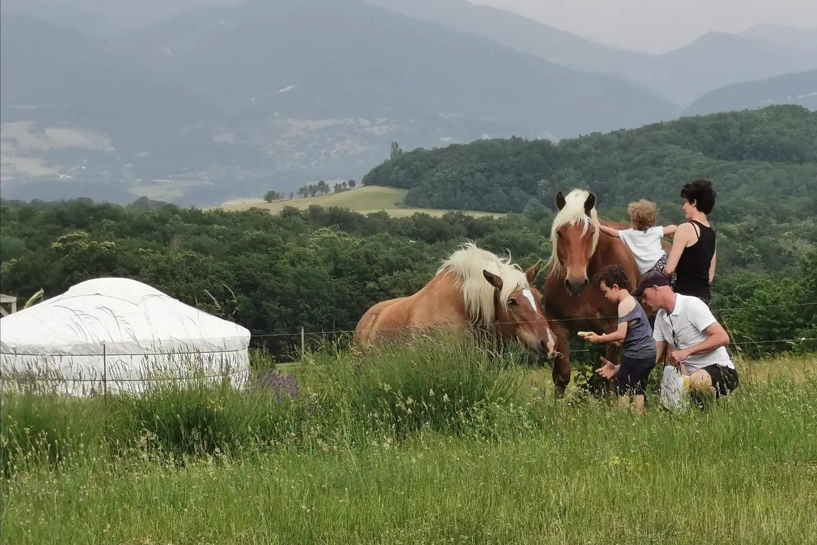 Yourte Drôme Esprit Nature, Le Poët-Célard : image 3