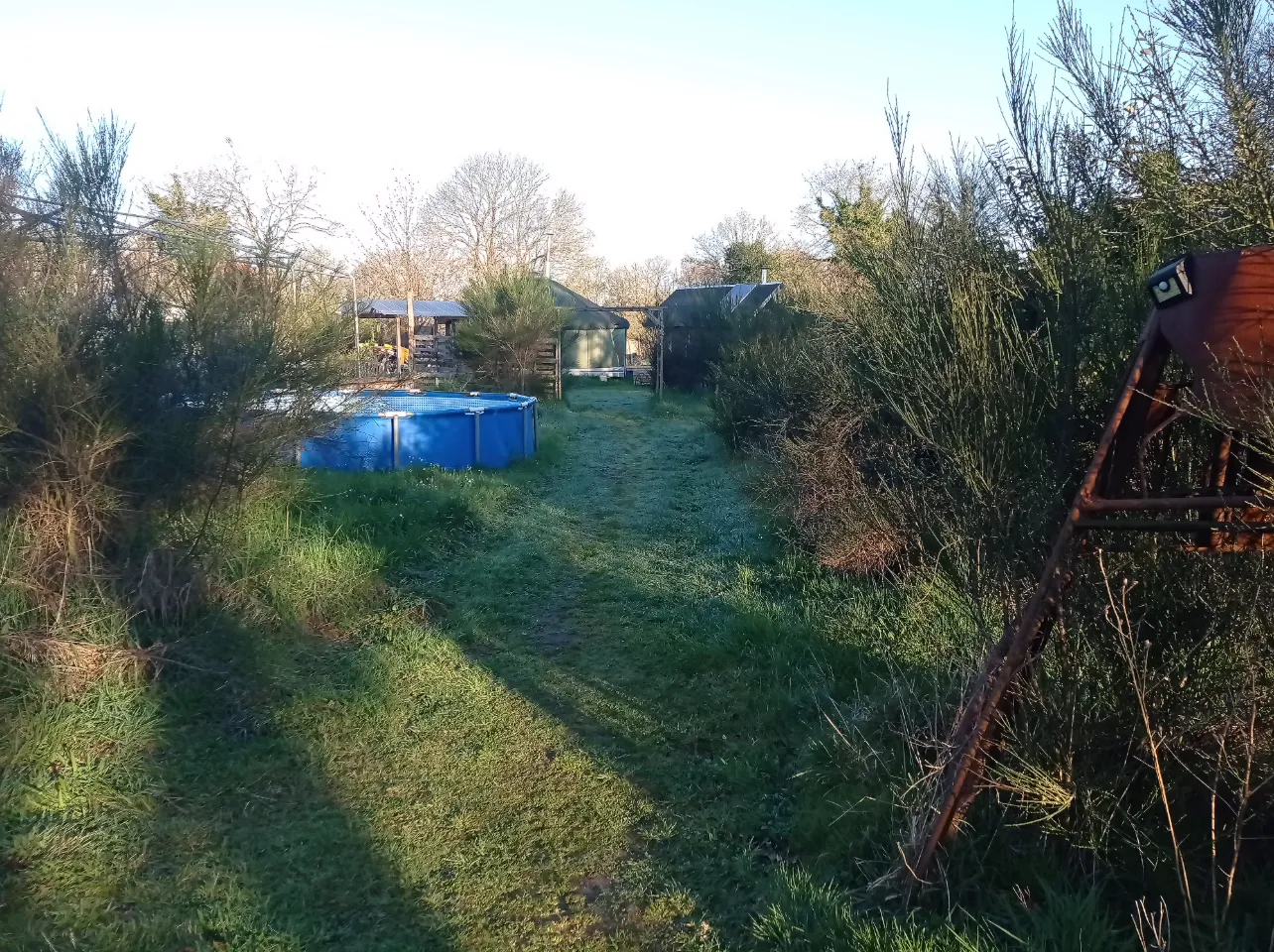 Yourte du geai bleu, Trébédan : image 4