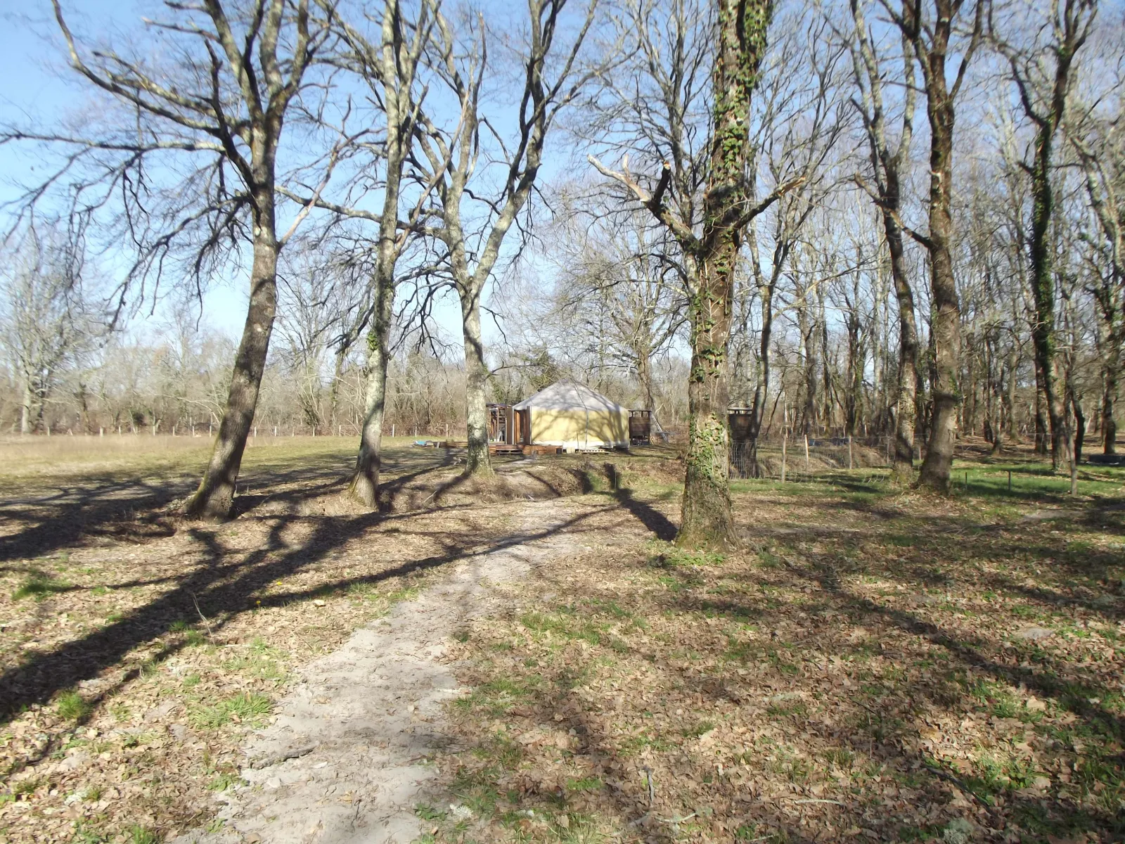 Yourte L'Essentielle, Grignols : image 3