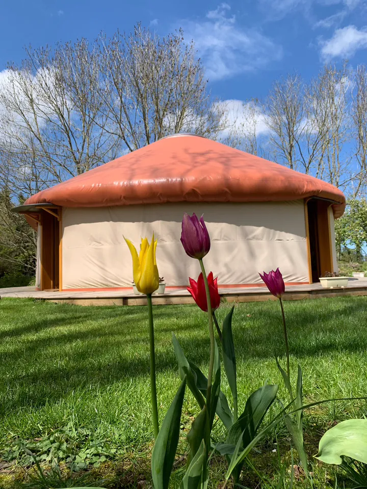 Yourte le Courtil, Royville : image 3