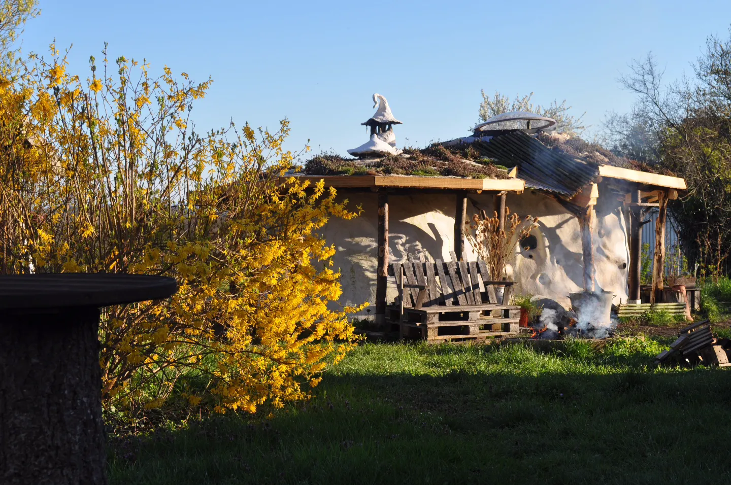 Yourte nature de la Petite tanière de loups, La Tagnière : image 3