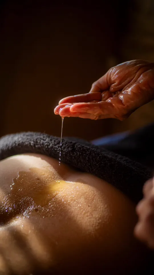 Yourte Nature et soins d'Ode, Saint-Antonin-Noble-Val : image 3
